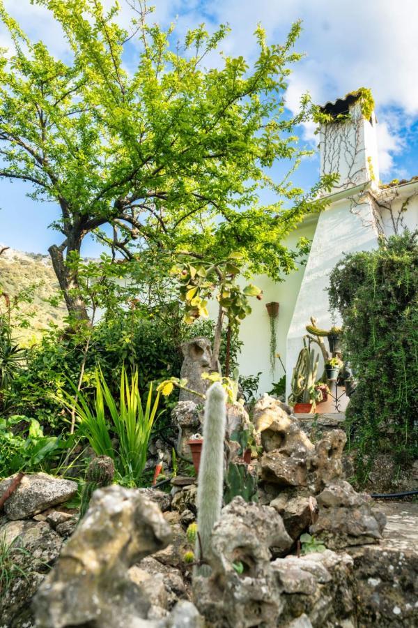 Los Cactus Эль-Гастор Экстерьер фото